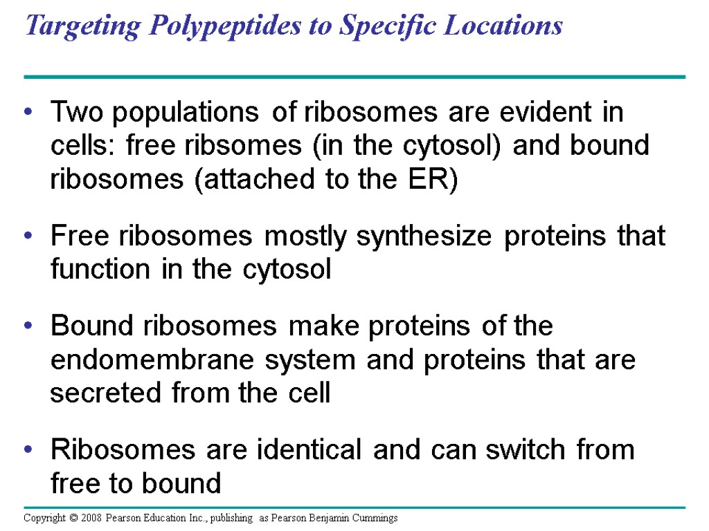 Targeting Polypeptides to Specific Locations Two populations of ribosomes are evident in cells: free